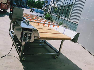 毛發去雜清洗機